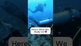 Scuba Diving: Expectations vs. Reality!  #divelife  #underwaterlife #ocean#scubadiving #funny