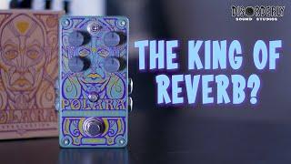 WHAT Makes the Digitech Polara Reverb Pedal So SPECIAL?