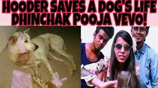 YOUR GUY HOODER SAVED A DOG'S LIFE! | DHINCHAK POOJA NEW VEVO CHANNEL |