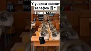 #мем #жиза #чундра-чучундра