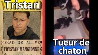 Trystan Magionne le tueur de chatons est devenu L'HOMME LE PLUS RECHERCHÉ DE FRANCE !