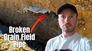 This Just Got EXPENSIVE | Septic Drain Field Failure