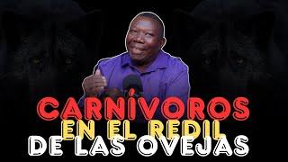 CARNÍVOROS EN EL REDIL DE LAS OVEJAS - Pastor TV Erick Damisca