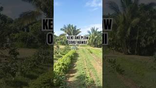 Keiki and plow #hawaii #farming #oahu ty @partnersindevelopmentfound7745