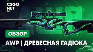 AWP | Atheris (Древесная гадюка) | CS:GO