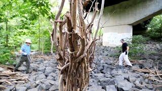 Building a driftwood 'Death Ship' in Virginia