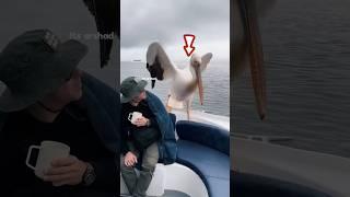 unbelievable this bird comes to the boat. #shortsvideo