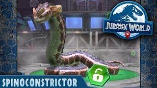 SPINOCONSTRICTOR UNLOCKED!!! - Jurassic World Alive | Ep70 ( Jurassic GO )