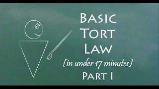 Understand Tort Law in 17 Minutes (Part I)