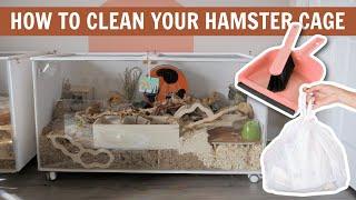 How to Clean your Hamster Cage 