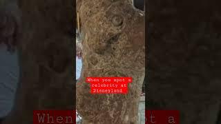 Celebrity Spotting at #Disneyland #disney #shorts #youtube #shortvideo