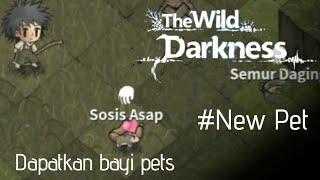 Tips menjadikan peliharaan bayi binatang untuk jadi pets - The Wild Darkness