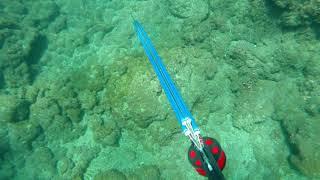 Chasse sous marine SAINT-PIERRE! Test ROB!!