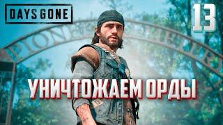 DAYS GONE ►ЖИЗНЬ ПОСЛЕ # 13 - уничтожаем орды ! (прохождение)