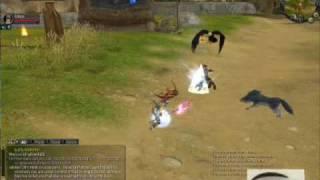 Silkroad, Death of Captain Ivy