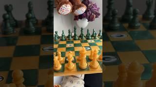 Gift idea for dad! #sportsart #sportsfans #chessboard #giftsforhim #dadgift #fyp #greenbaypackers