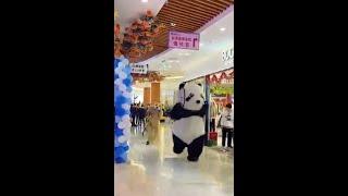 funny cute panda video  #shorts #funny #cute #panda #video