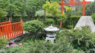 Botanical Garden Tbilisi, beautiful waterfall, Japanese garden