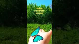 Войди в природу другом!
