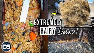 Deep Cleaning a SUPER HAIRY Dog Kennel on Wheels! | The Detail Geek