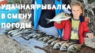 Удачная рыбалка! Столько Дорады я ещё не ловил!!!