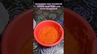 как засолить икру форели в тузлуке дома за 10 минут #икра #икрафорели #краснаяикра #форелеваяикра