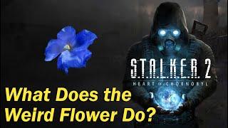 Stalker 2 - How to Get the Weird Flower and What Does it Do?