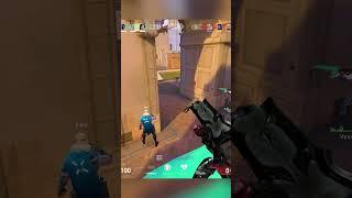Radiant Sage Breaks The Meta 