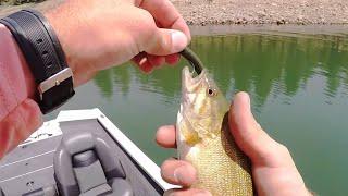 Catching Smallmouth Bass On Home Made Baits