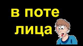 № 664 Русские фразеологизмы: В ПОТЕ ЛИЦА