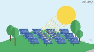 Community Solar With Nexamp