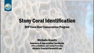 Florida's Coral Reef Webinar Series: How to Identify Florida's Stony Corals