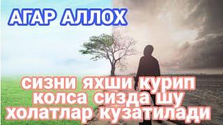 АГАР АЛЛОХ СИЗНИ ЯХШИ КУРИП КОЛСА