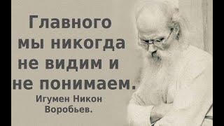 Главного мы никогда не видим и не понимаем. Игумен Никон Воробьев.