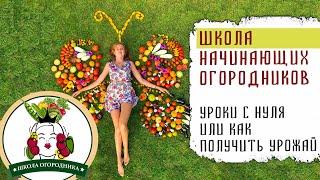 ШКОЛА НАЧИНАЮЩИХ ОГОРОДНИКОВ. УРОКИ С НУЛЯ ИЛИ КАК ПОЛУЧИТЬ УРОЖАЙ