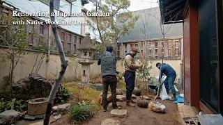 (Pro.68 - Ep.1) Renovating a Japanese Garden with Native Woodland Trees.