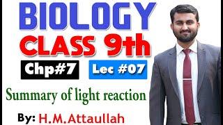 Summary of light reaction | Smart syllabus | Chapter 7 | 9th class Biology |ALP |Lec 7