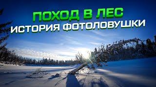 Поход в лес, охота на рябчиков! История фотоловушки! #жизньвлесу