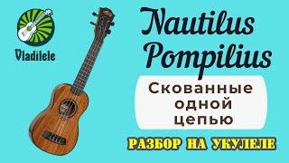 NAUTILUS POMPILIUS - СКОВАННЫЕ ОДНОЙ ЦЕПЬЮ разбор на укулеле