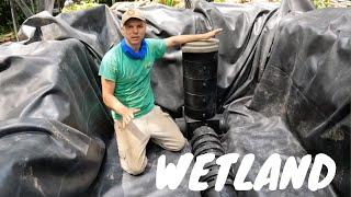 Wetland Bog Filter For Koi Pond
