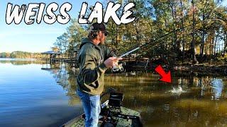 Winter Bass Fishing On Weiss Lake