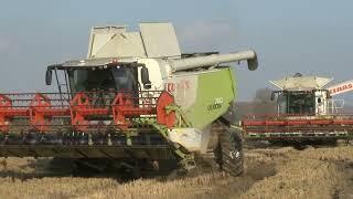 Doppietta Claas Lexion 770 e 760 Riso 2024 Pavia