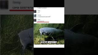 Мем про сома