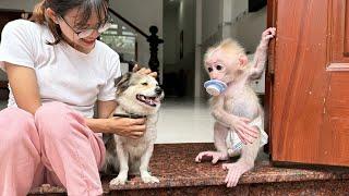 It's funny: Lucky is jealous and angry when his mother takes care of SuSu