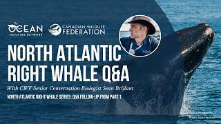 North Atlantic right whale expert Sean Brilliant takes your questions