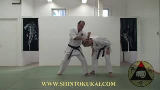 Okinawa Shorin-ryu Karate: Parent Style of Shotokan (clip 6)