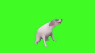 Dog Dance Meme!