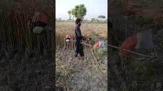 Wheat Cutting Very Easy | Gundam ki katai | Muhammad Waqas Tech