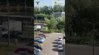 ️ Спилили 14 отличных деревьев #Химки
