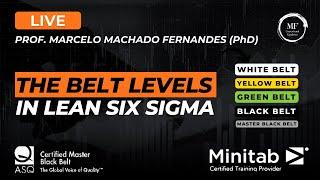 Masterclass | Prof. Marcelo Fernandes | The "Belt" levels in Lean Six Sigma